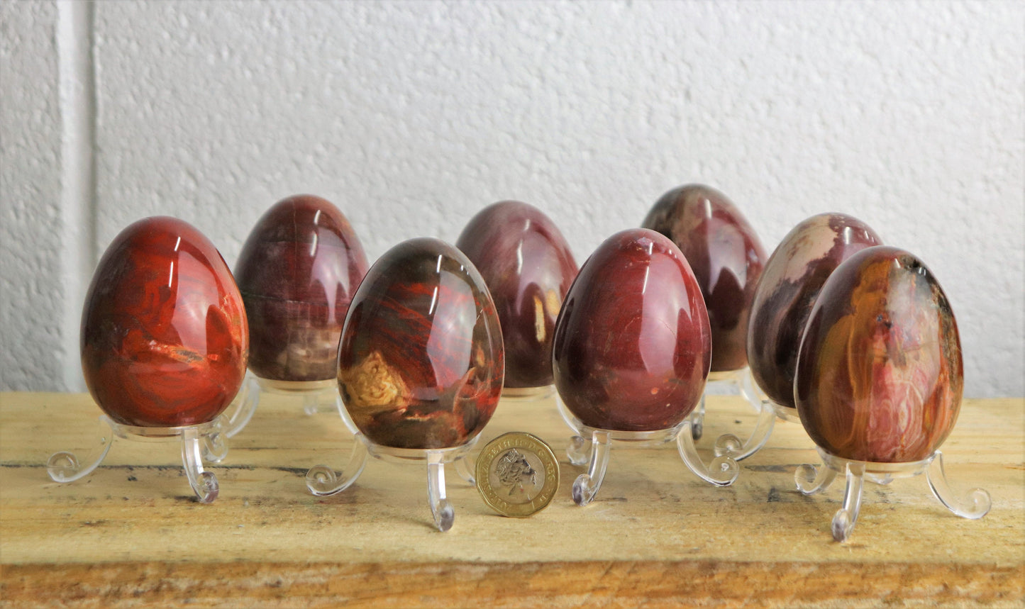 Fossil Wood Crystal Egg X1