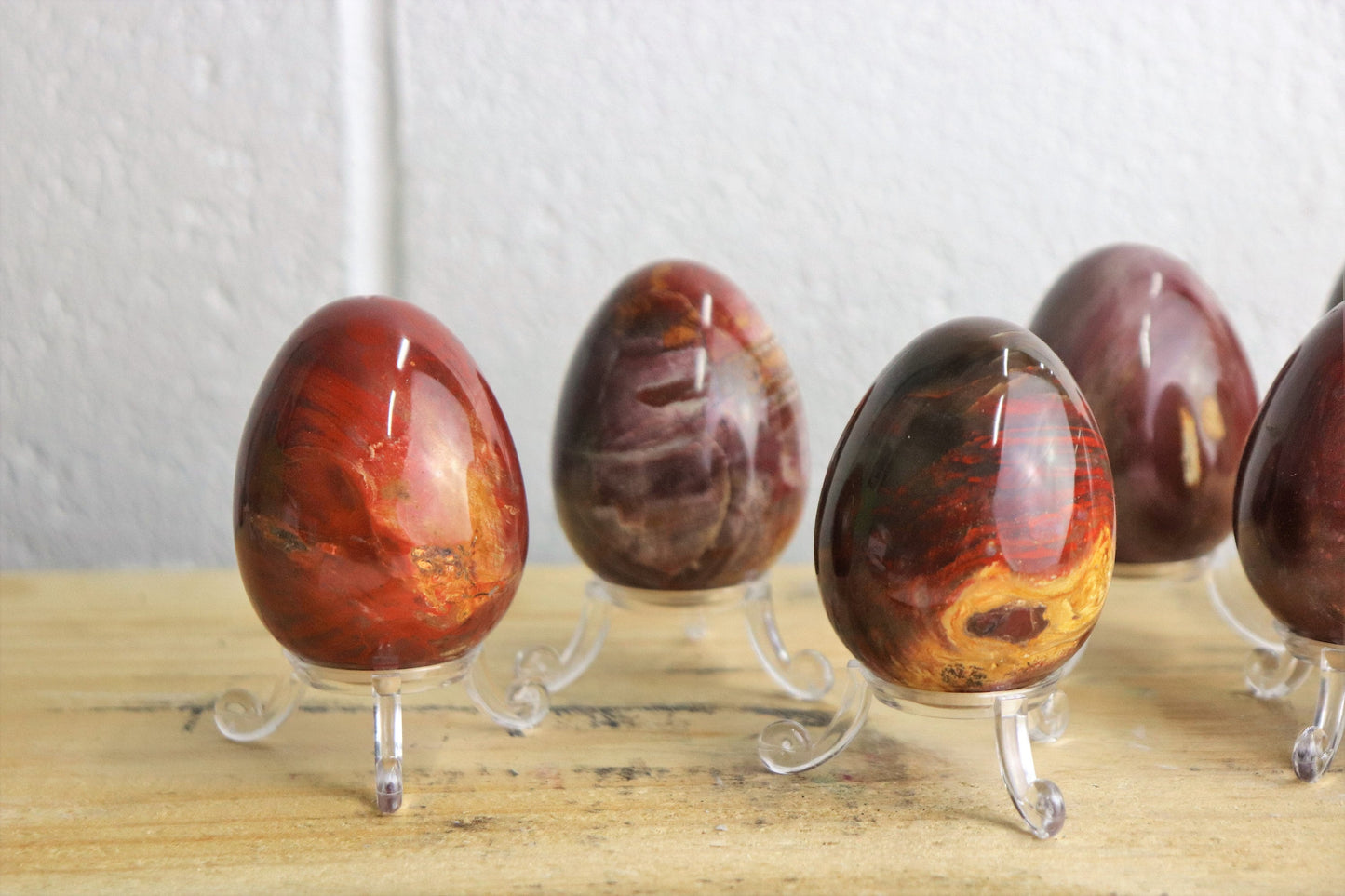 Fossil Wood Crystal Egg X1