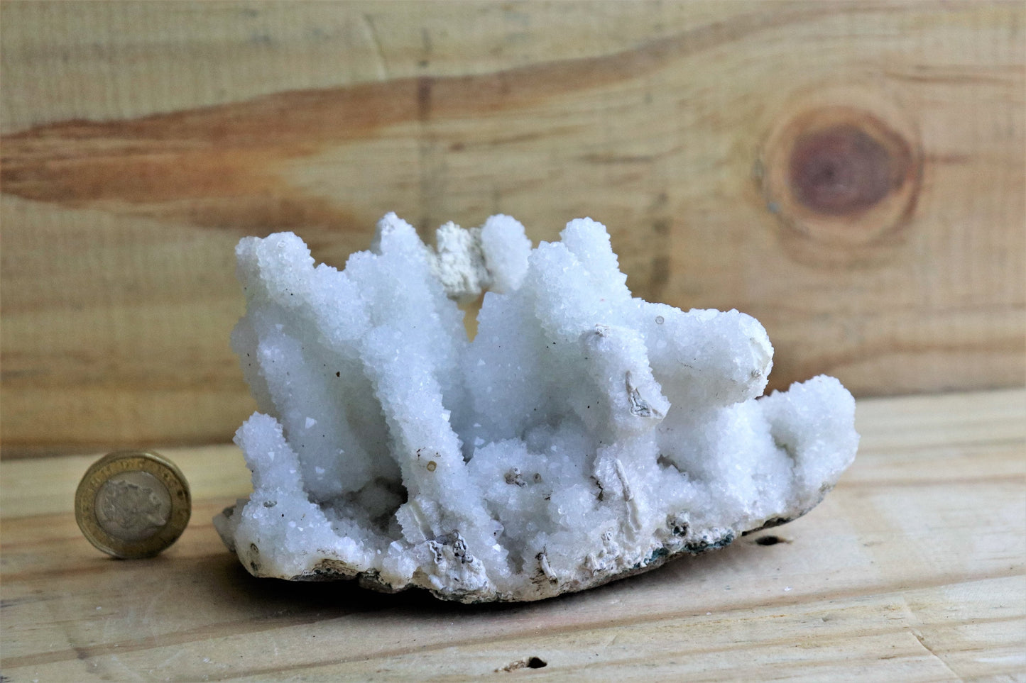 58) Large Quartz Crystal Stalactite Coral / Spirit / Cactus