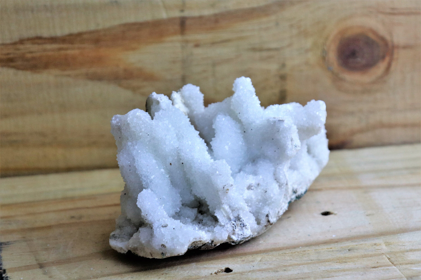 58) Large Quartz Crystal Stalactite Coral / Spirit / Cactus