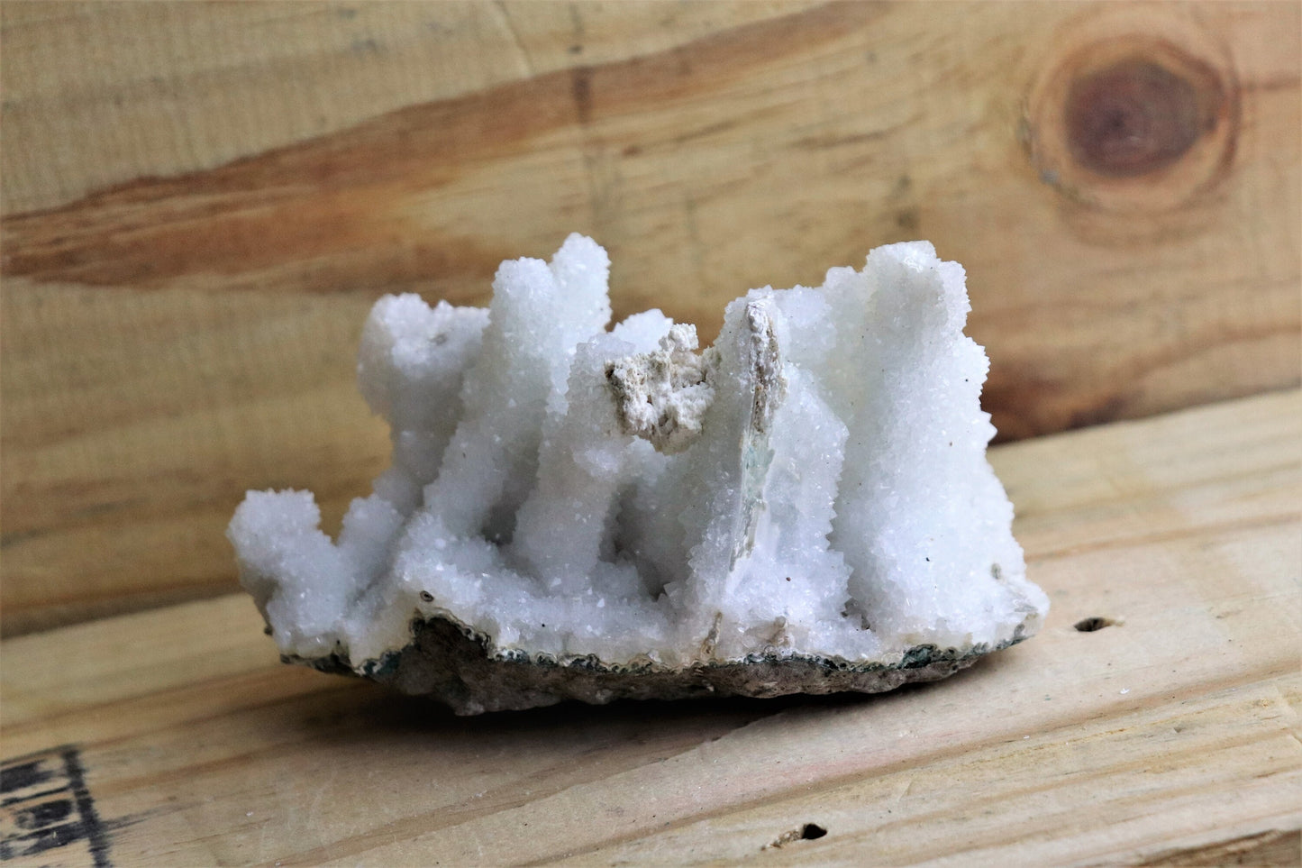 58) Large Quartz Crystal Stalactite Coral / Spirit / Cactus