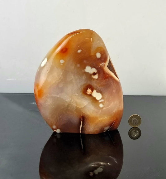  Extra large Carnelian Crystal Freeform