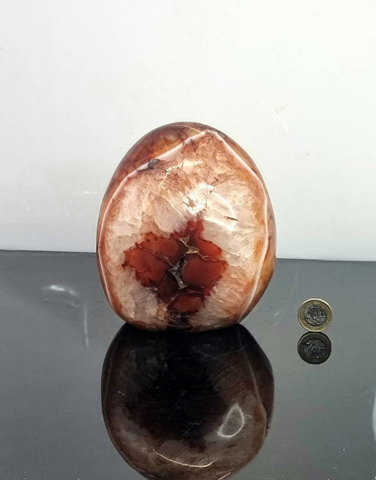  Extra large Carnelian Crystal Freeform