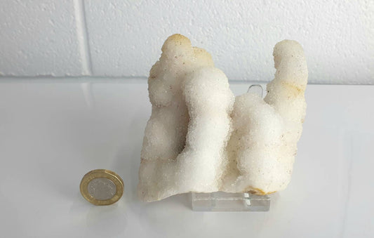 96) Large Quartz Crystal Stalactite Coral  Spirit Cactus