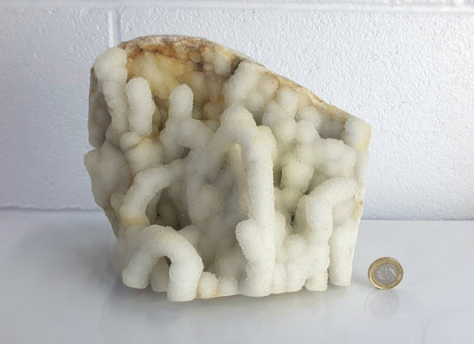 95) Large Quartz Crystal Stalactite Coral  Spirit Cactus