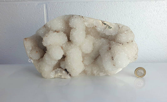 93) Large Quartz Crystal Stalactite Coral  Spirit Cactus