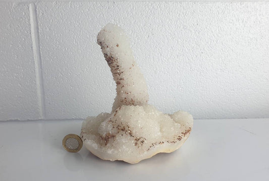 85) Large Quartz Crystal Stalactite Coral  Spirit Cactus