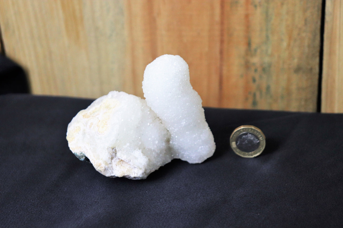 41) Large Quartz Crystal Stalactite Coral  Spirit Cactus