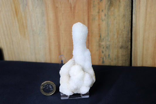 39) Large Quartz Crystal Stalactite Coral  Spirit Cactus