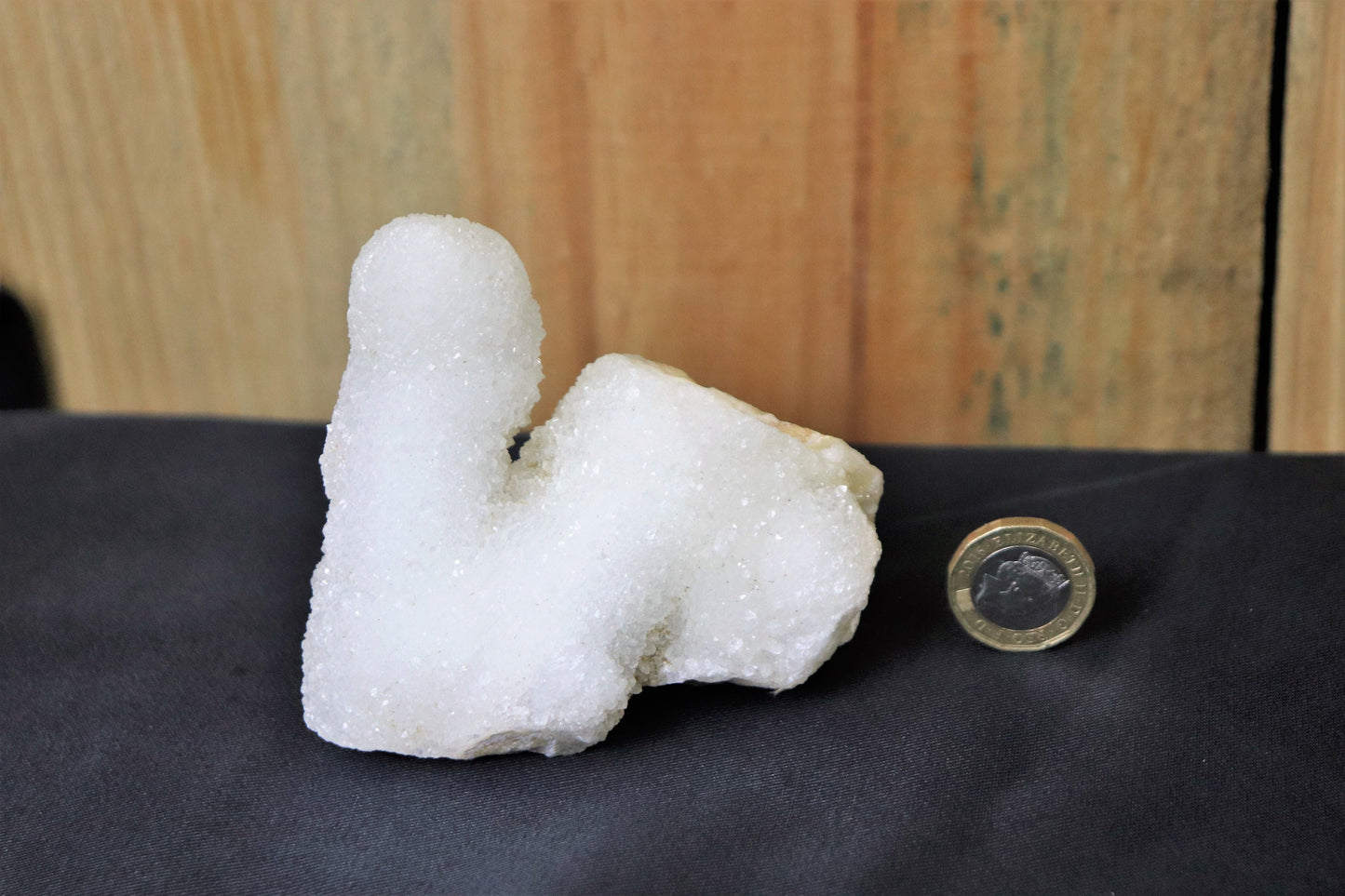 41) Large Quartz Crystal Stalactite Coral  Spirit Cactus