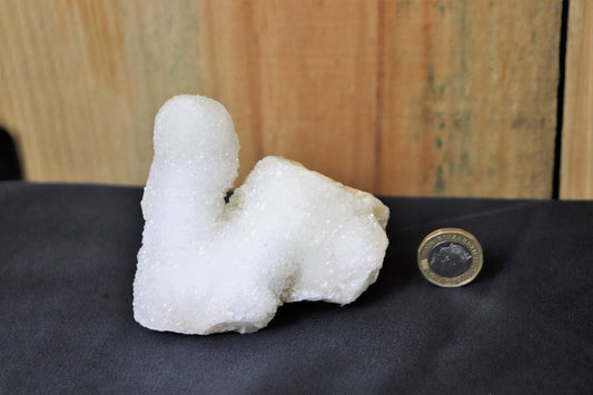 41) Large Quartz Crystal Stalactite Coral  Spirit Cactus