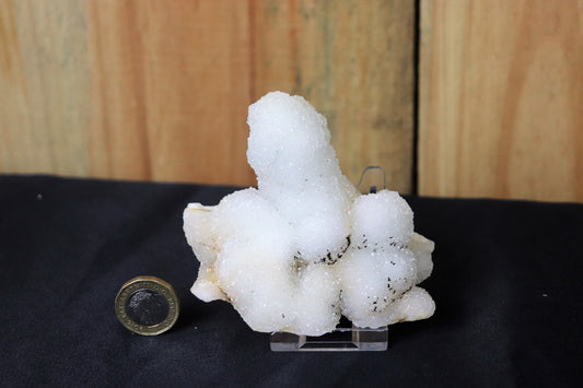 30) Large Quartz Crystal Stalactite Coral  Spirit Cactus