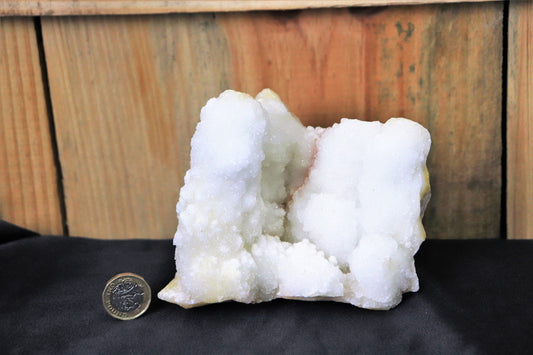 15) Large Quartz Crystal Stalactite Coral  Spirit Cactus