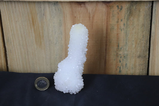 23) Large Quartz Crystal Stalactite Coral  Spirit Cactus