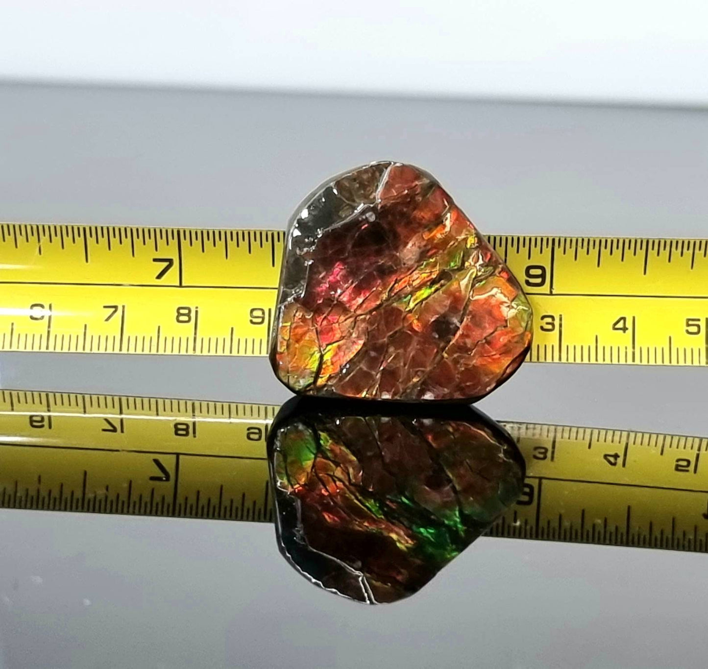 31am) Ammolite Crystal Gemstone