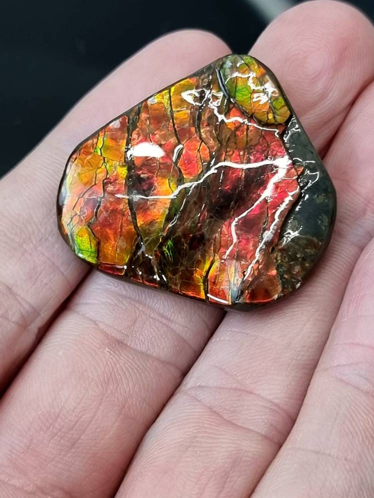 31am) Ammolite Crystal Gemstone