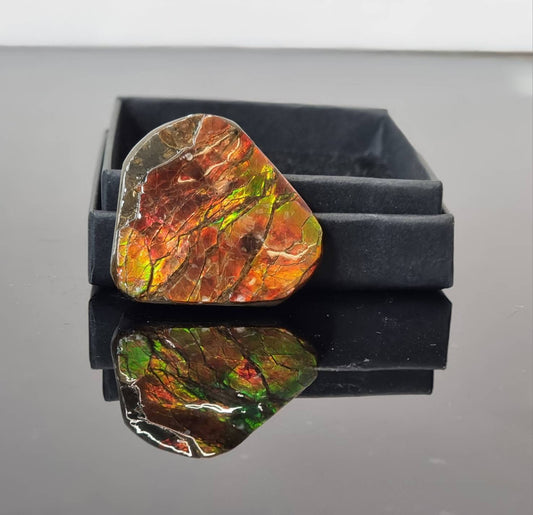 31am) Ammolite Crystal Gemstone