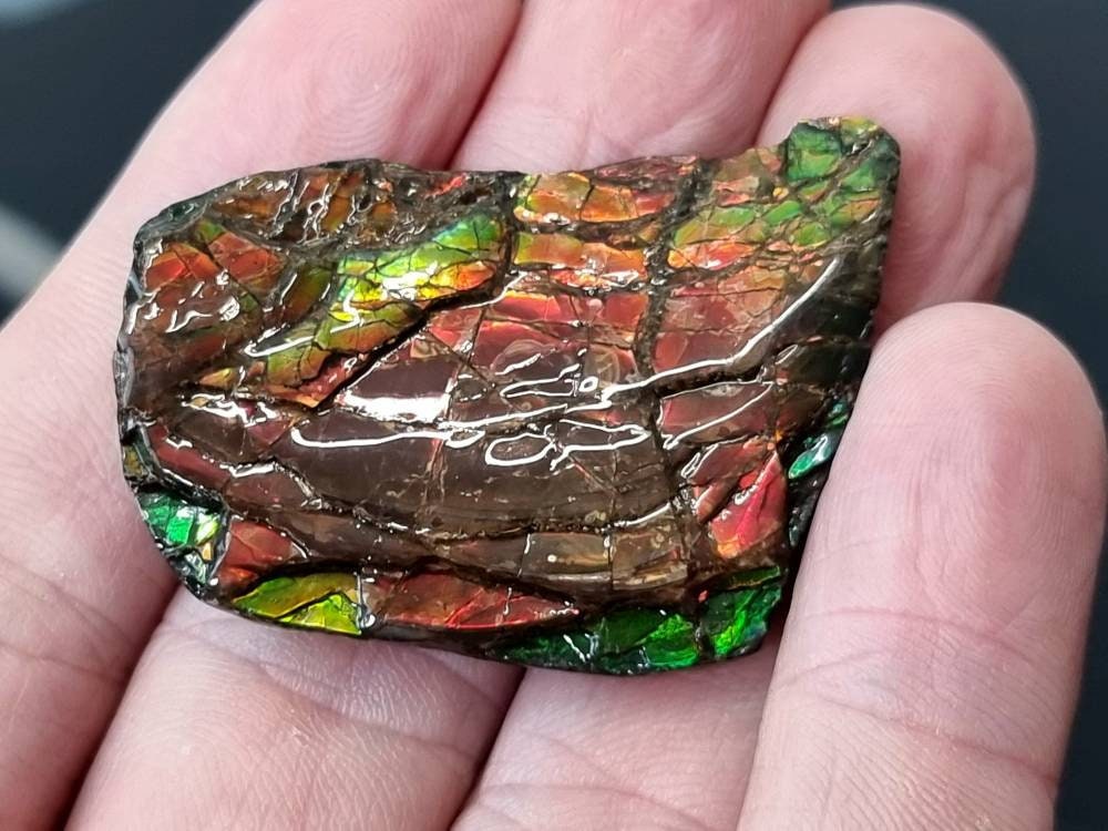 29am) Ammolite Crystal Gemstone