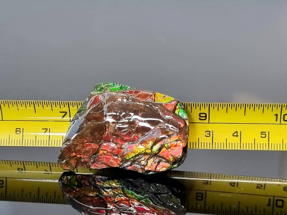 29am) Ammolite Crystal Gemstone