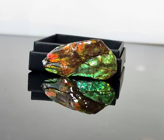 28am) Ammolite Crystal Gemstone