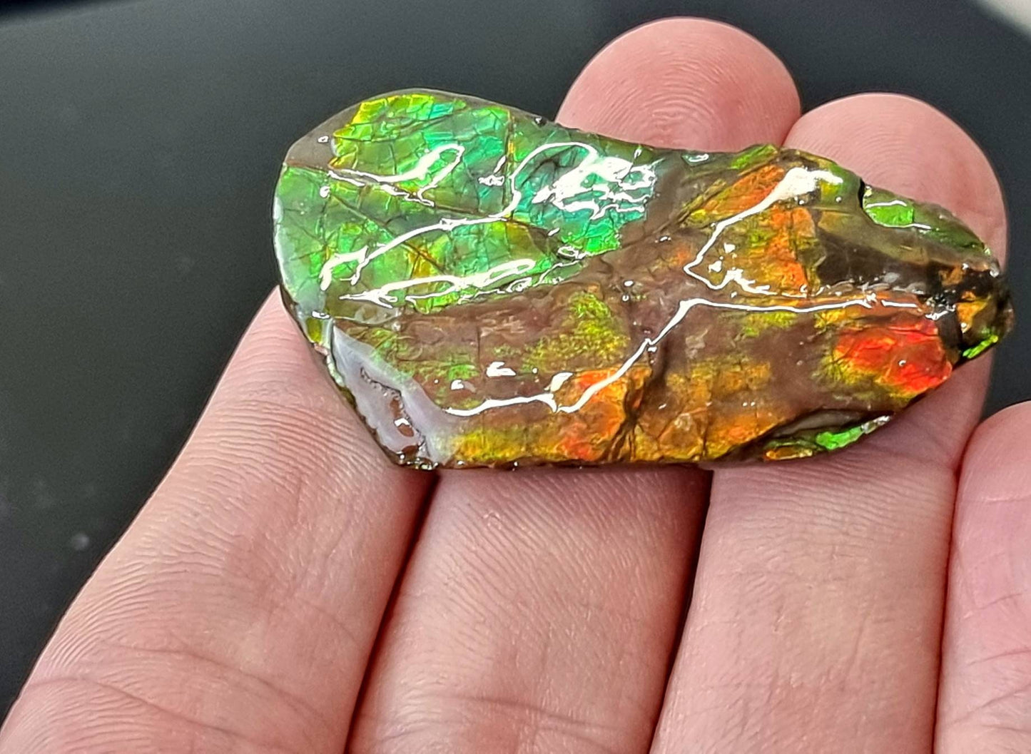 28am) Ammolite Crystal Gemstone