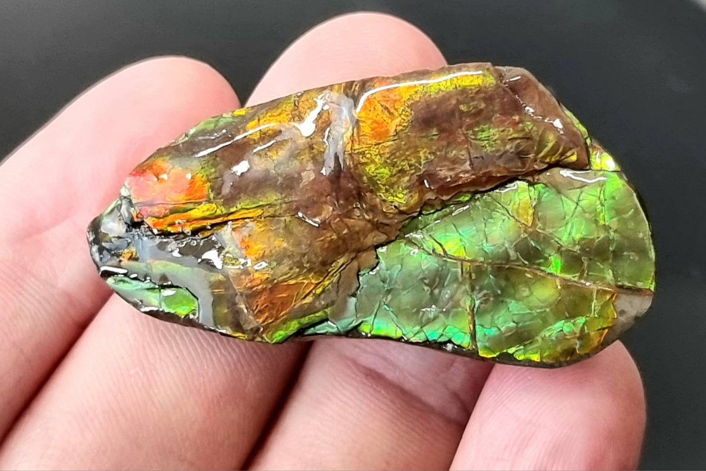 28am) Ammolite Crystal Gemstone