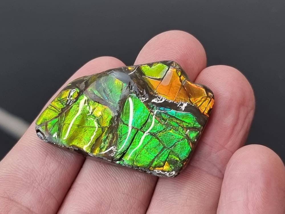 30am) Ammolite Crystal Gemstone