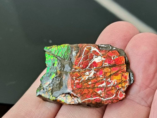 27am) Ammolite Crystal Gemstone