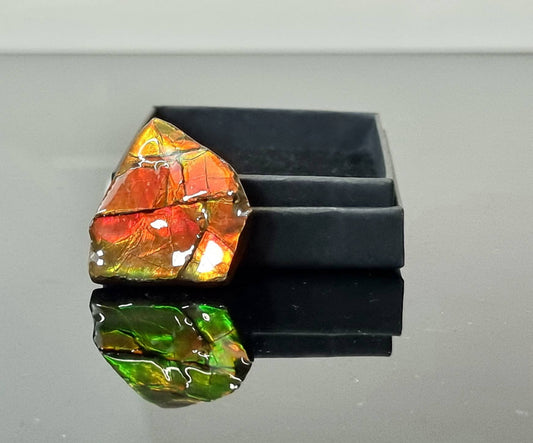 26am) Ammolite Crystal Gemstone