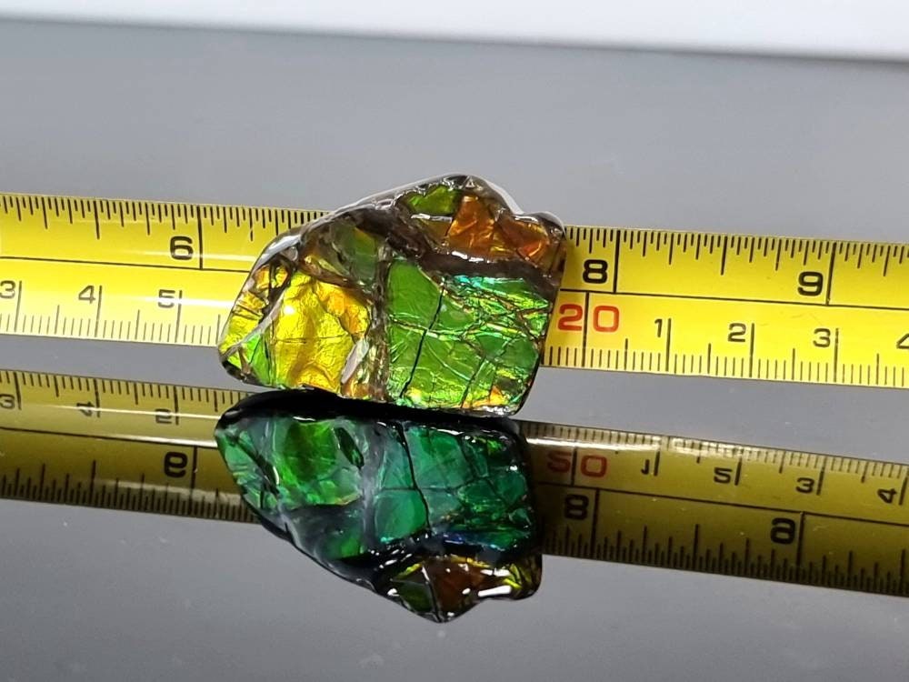 30am) Ammolite Crystal Gemstone