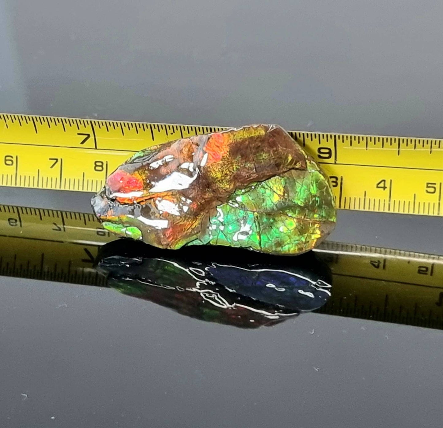 28am) Ammolite Crystal Gemstone