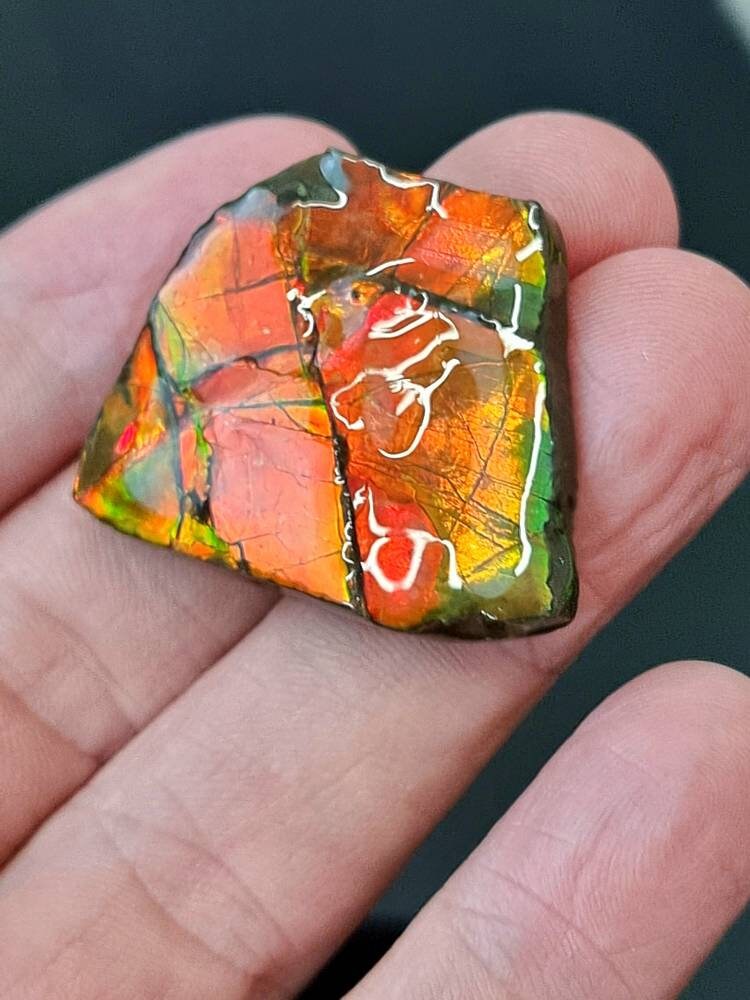 26am) Ammolite Crystal Gemstone