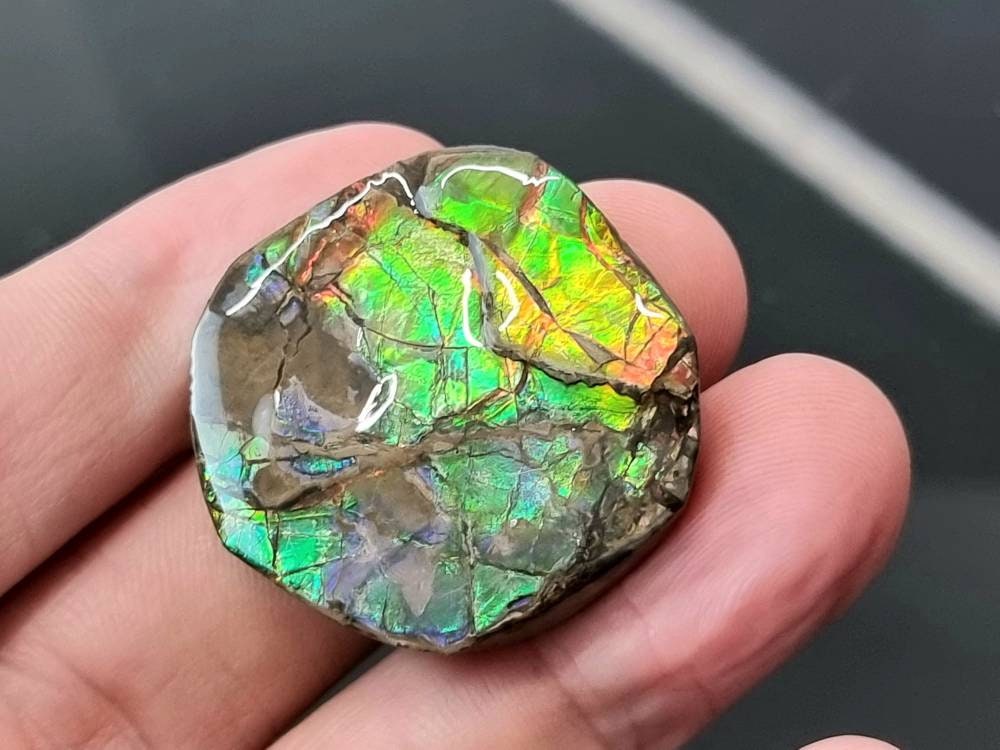 20am) Ammolite Crystal Gemstone