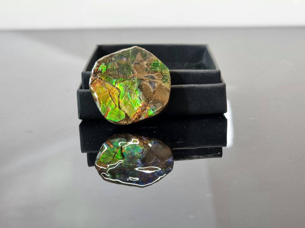 20am) Ammolite Crystal Gemstone