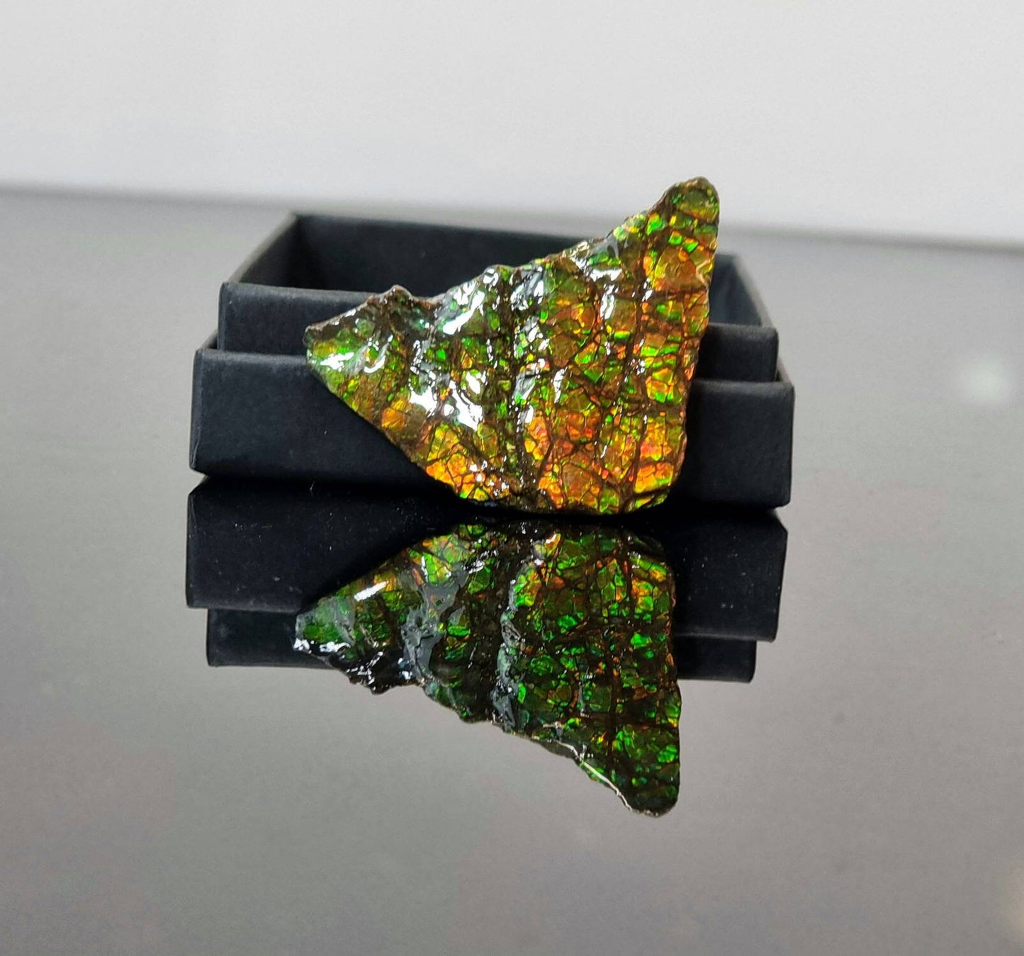 24am) Ammolite Crystal Gemstone