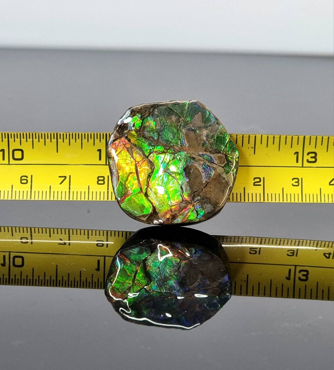 20am) Ammolite Crystal Gemstone