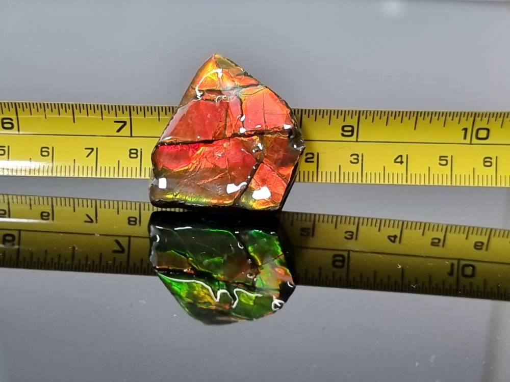 26am) Ammolite Crystal Gemstone