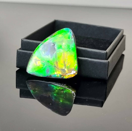 19am) Ammolite Crystal Gemstone