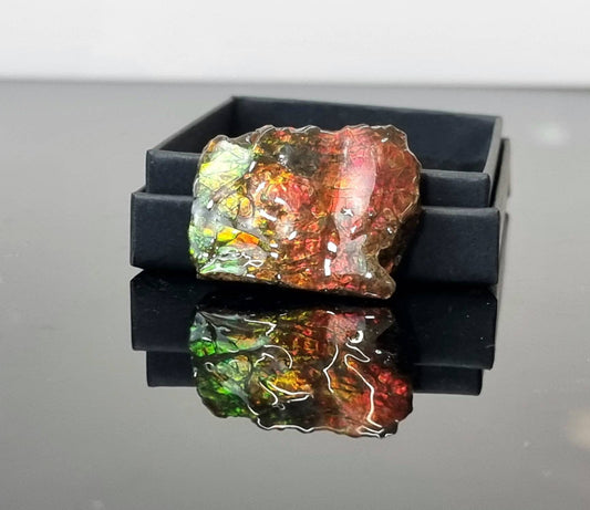 21am) Ammolite Crystal Gemstone