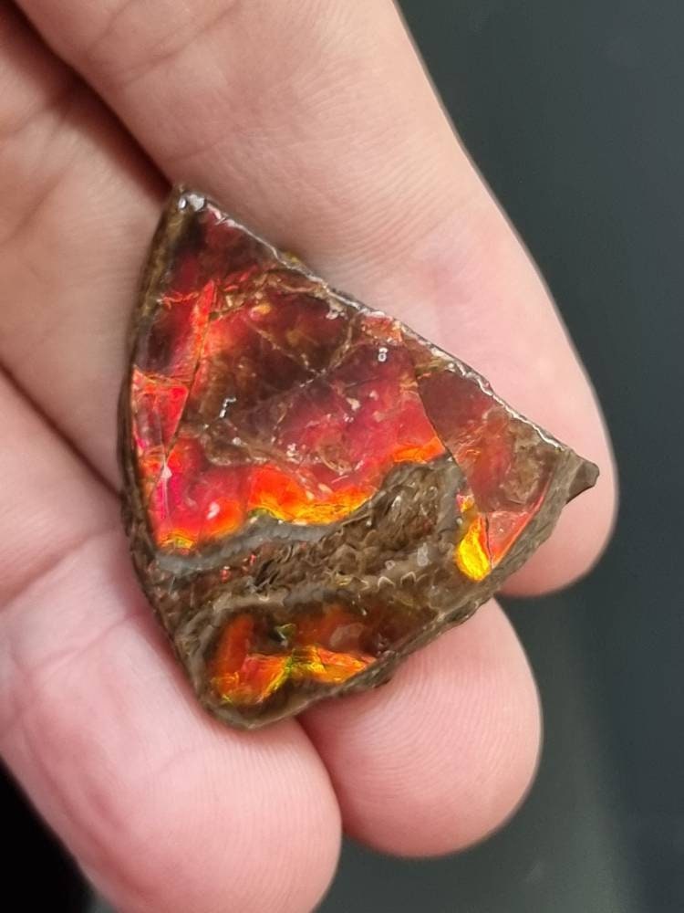 23am) Ammolite Crystal Gemstone