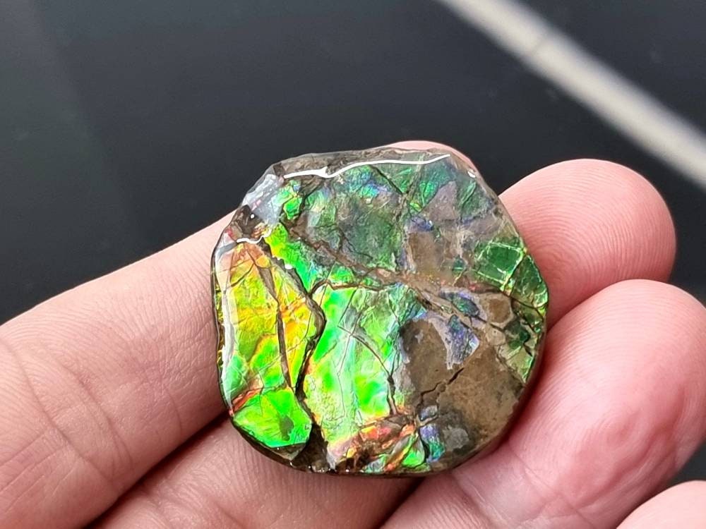 20am) Ammolite Crystal Gemstone