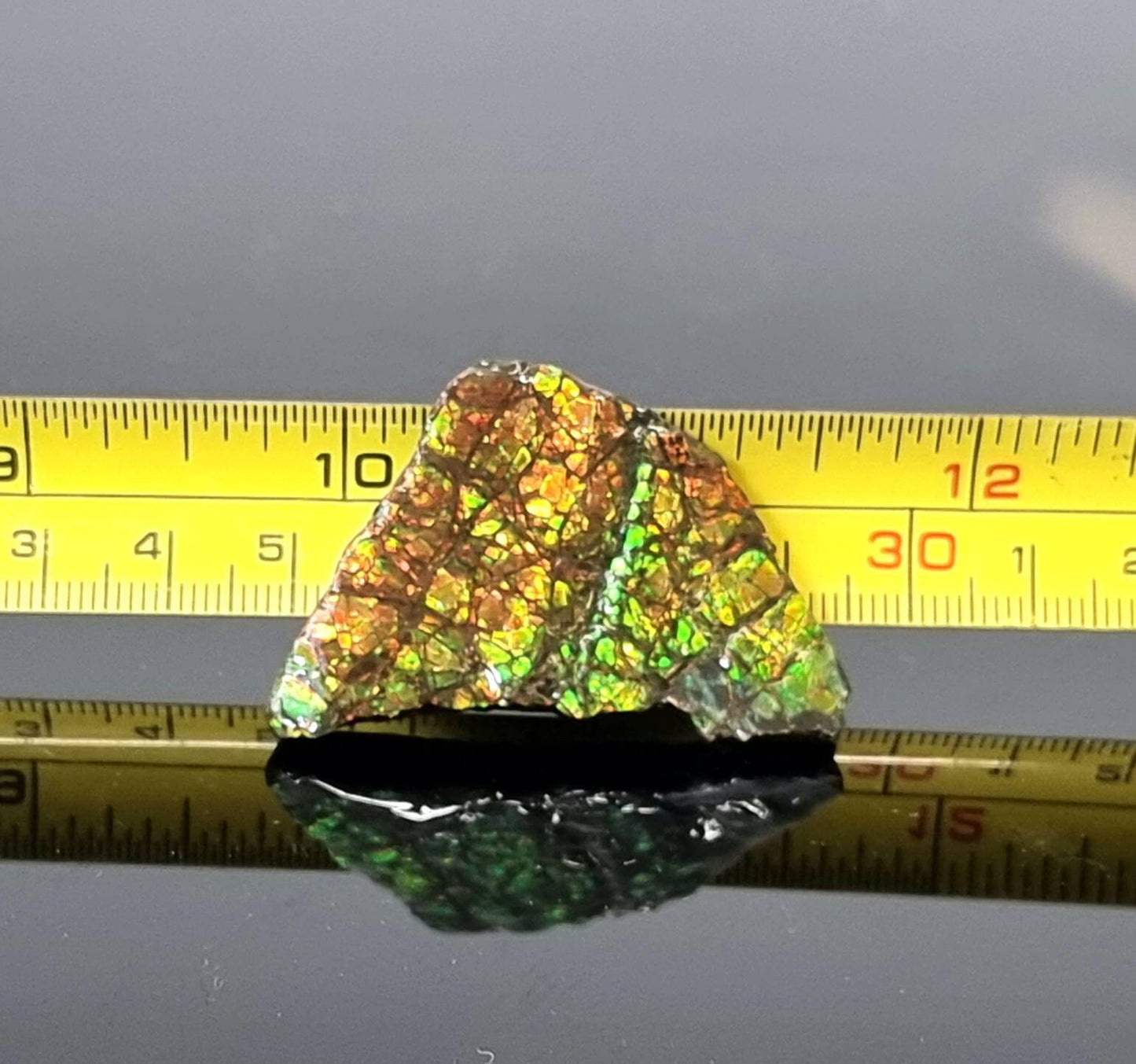 24am) Ammolite Crystal Gemstone