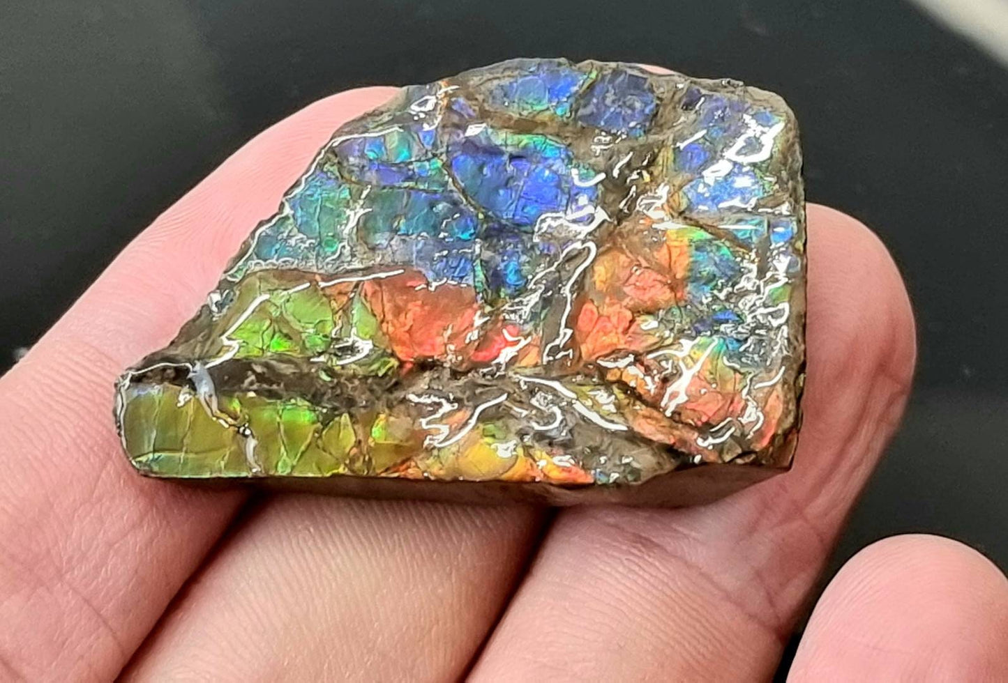 17am) Ammolite Crystal Gemstone