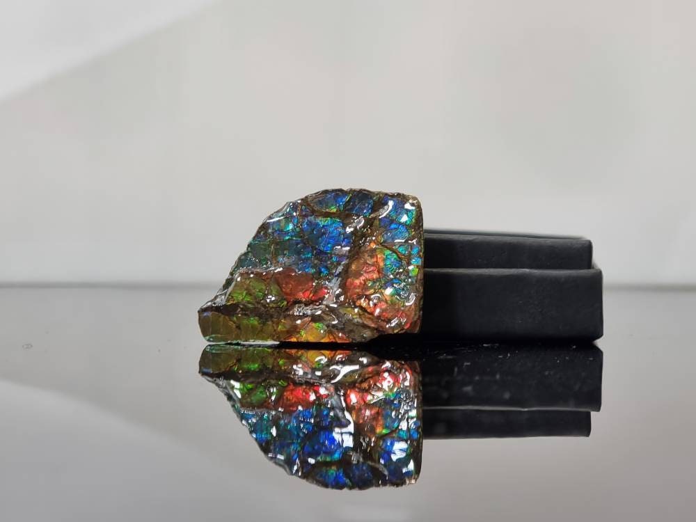 beautiful ammolite gemstone crystal from Canada