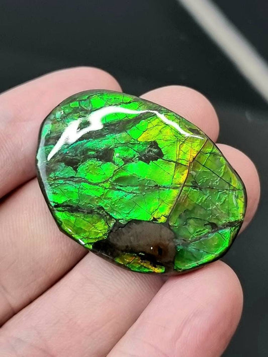 16am) Ammolite Crystal Gemstone