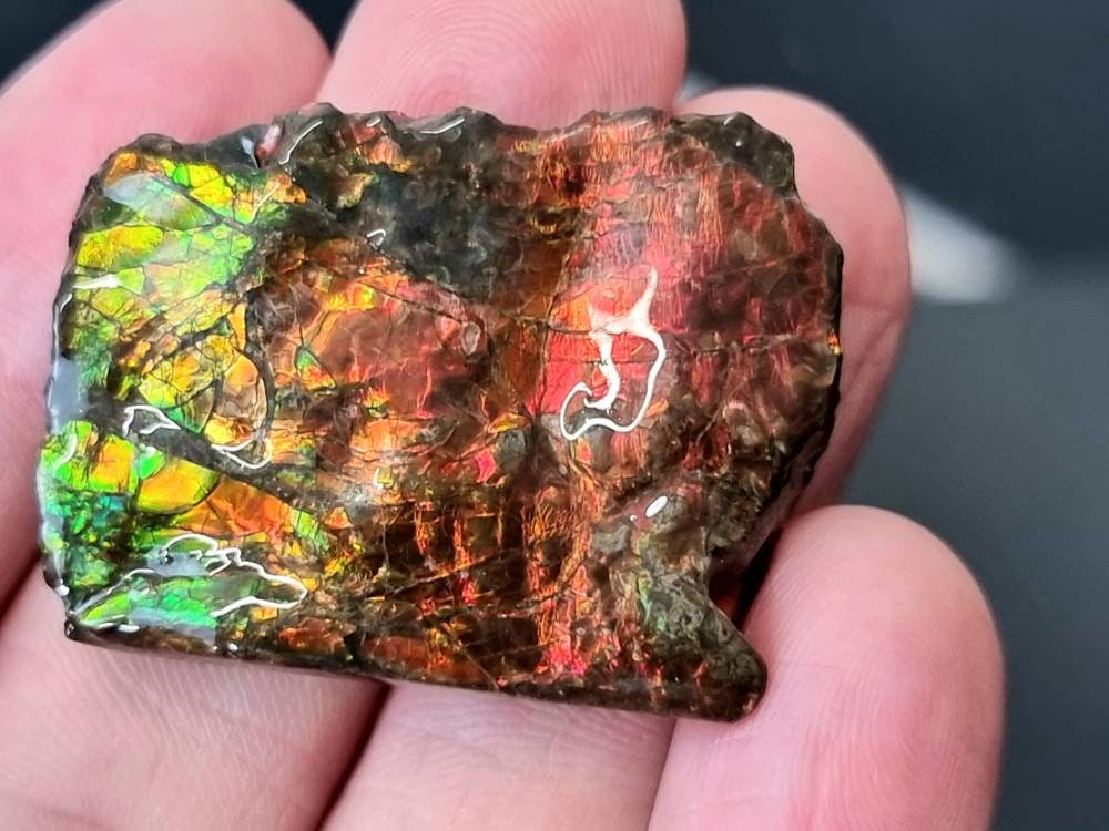 21am) Ammolite Crystal Gemstone