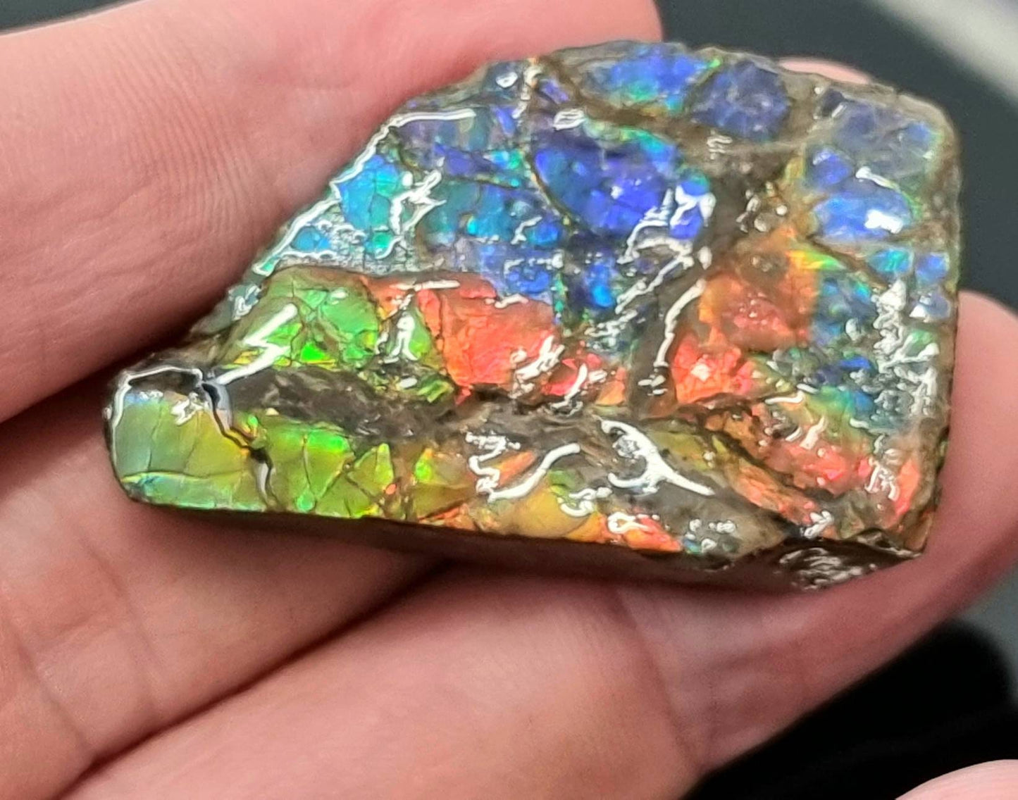 17am) Ammolite Crystal Gemstone