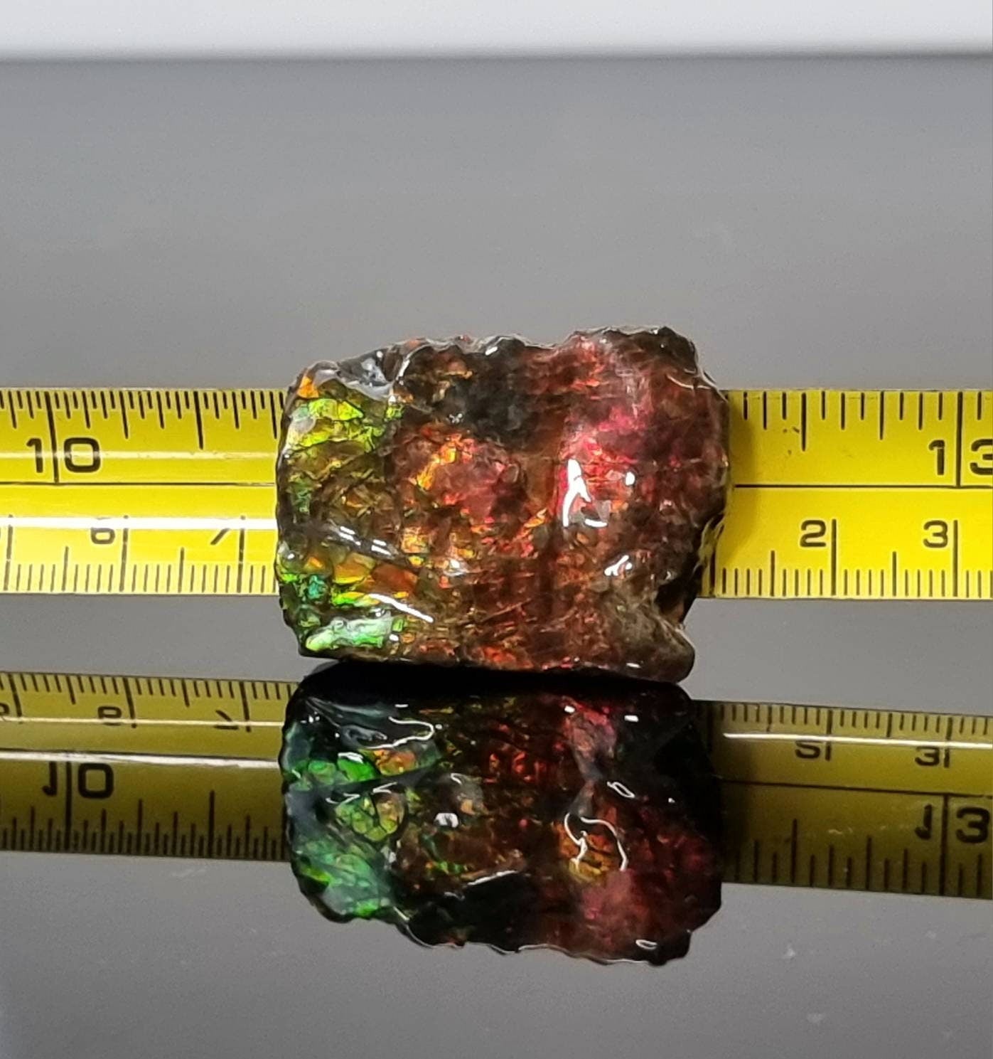 21am) Ammolite Crystal Gemstone