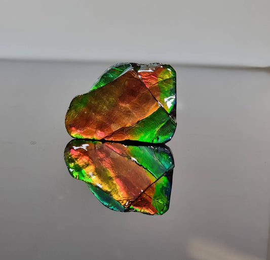 18am) Ammolite Crystal Gemstone