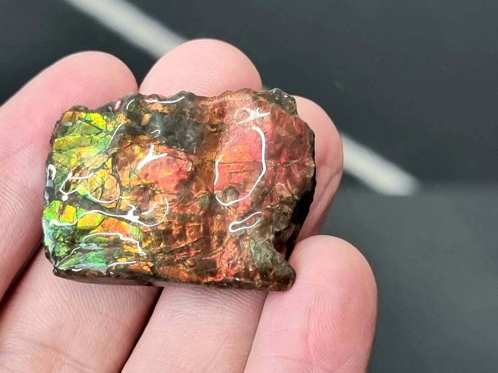 21am) Ammolite Crystal Gemstone